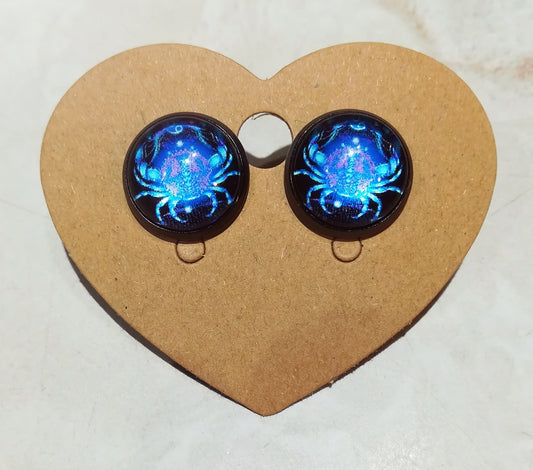 Boutons d'oreilles "cancer"