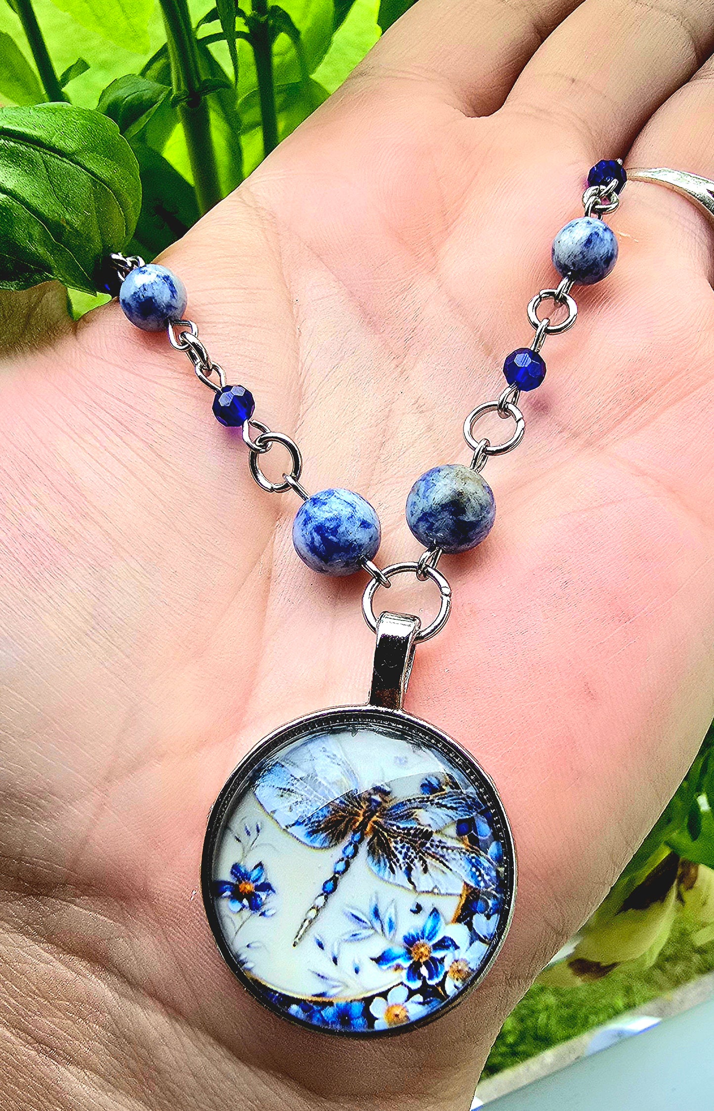 Libellule sodalite